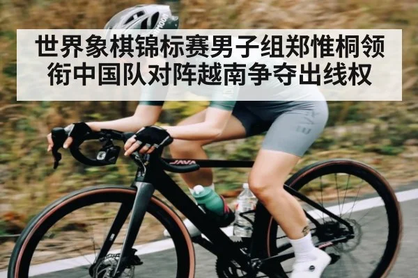 世界象棋锦标赛男子组郑惟桐领衔中国队对阵越南争夺出线权 - www.c7c7.app